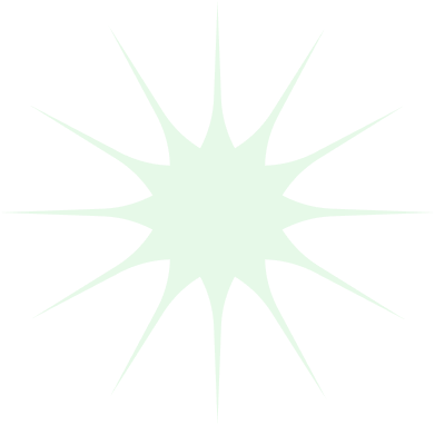 A big light green, 12-pointed starburst shape on a transparent background.